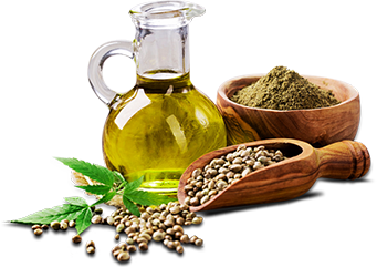 Hemp Seed Protein Unflavoured 300g